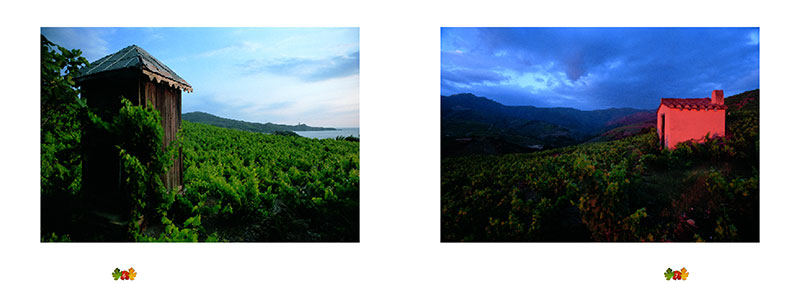 Les crus de Banyuls et Collioure
</br>
<h3>De la nature du roc aux vins prÃ©cieux</h3> - 